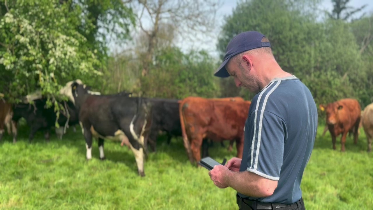 Co. Galway suckler farmer Donal Canniffe. Source: Herdwatch