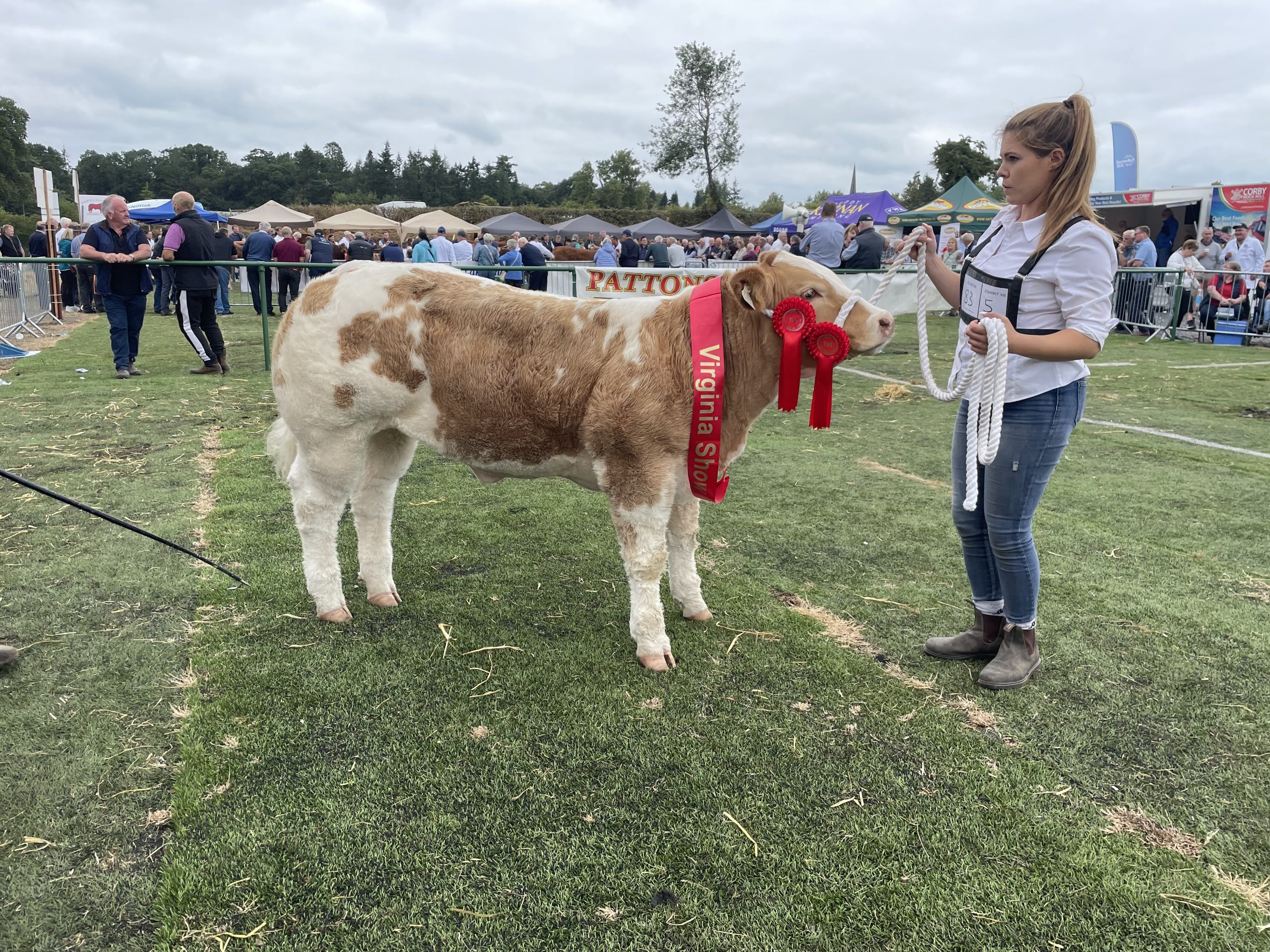 Rockvalley Biscuit shown by Simone Maguire took home several rosettes on the day