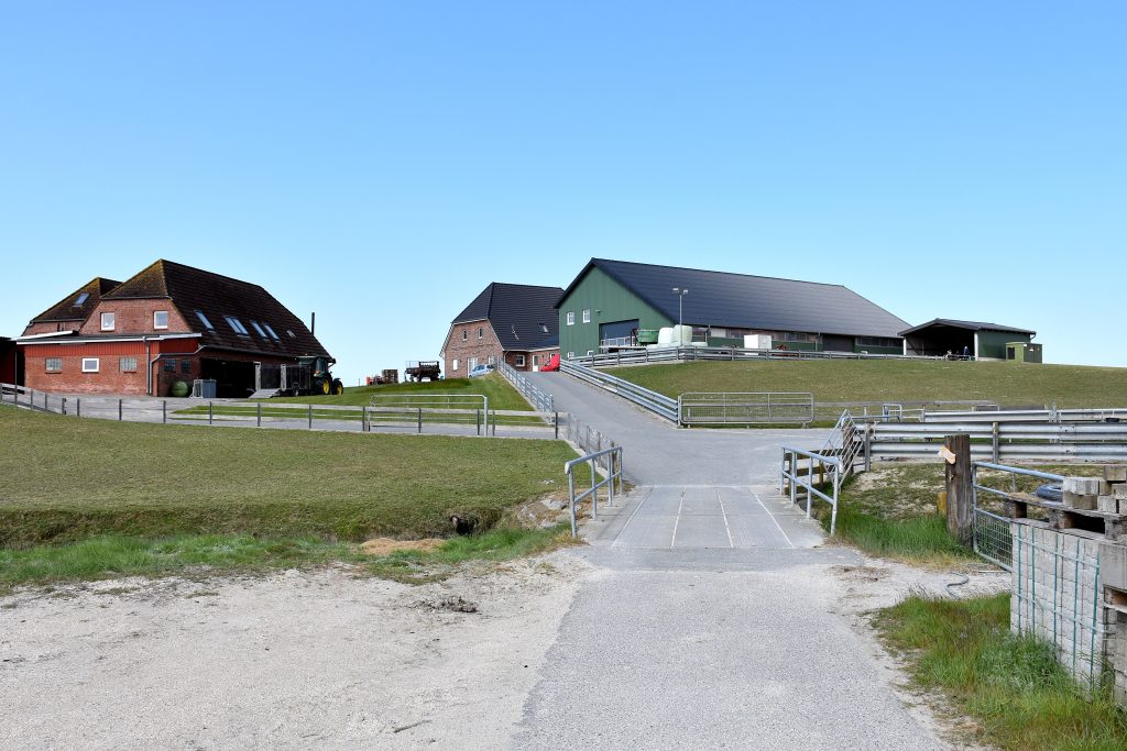 Nommen's house and farmyard are built on man-made mounds to keep them higher from the floods