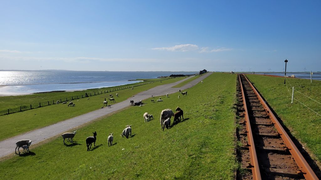 A narrow gauge railway is used by the residents of Hallig Nordstrandischmoor to travel back and forth to the mainland