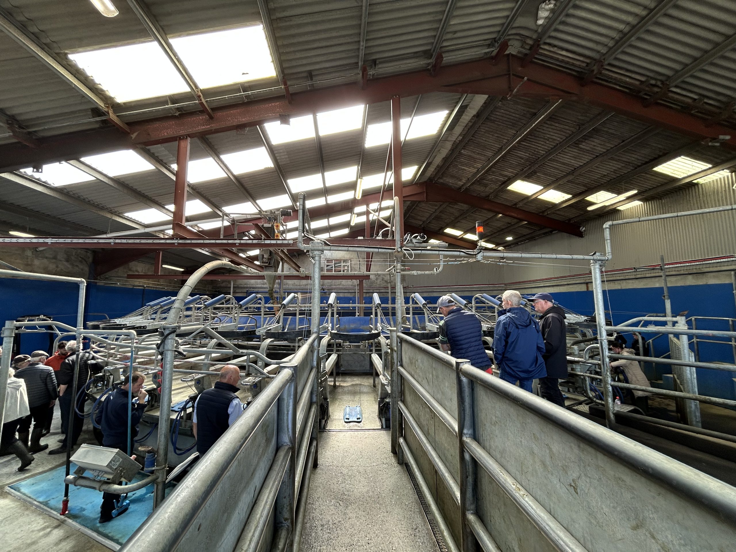 The 50-bay rotary parlour