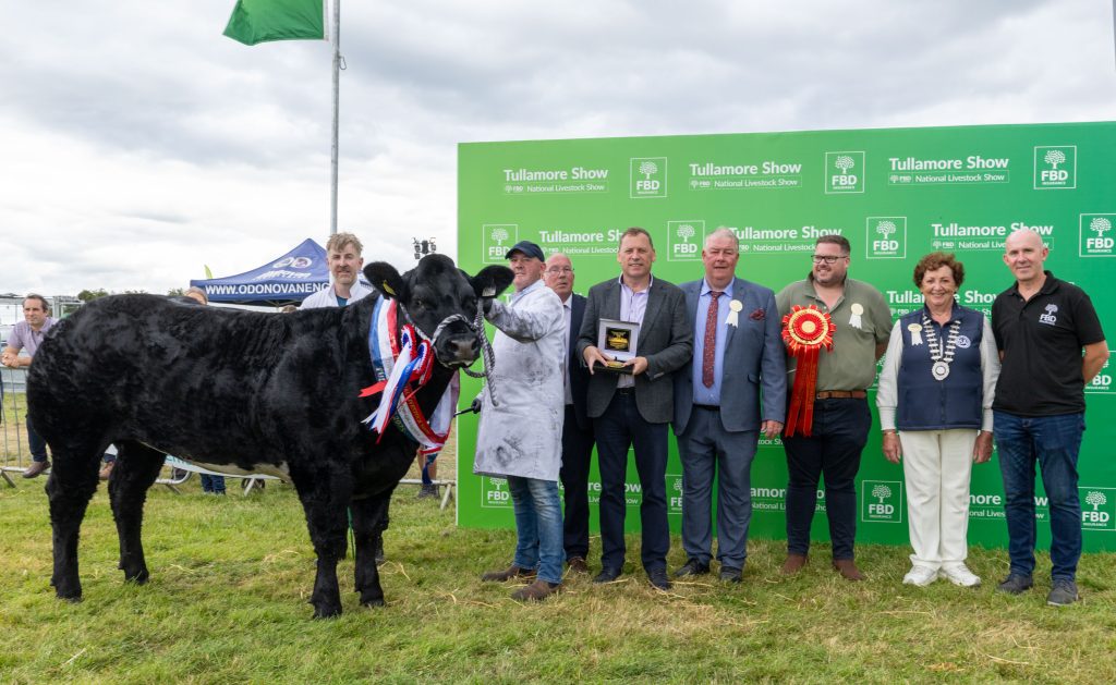 The senior commercial champion owned by Kevin Devine from Co. Mayo pictured with handler Shane Giltinane; Barry Cowen MEP; show chairperson John Keena; Stephen Kelly, Tullamore Show; Freda Kinnarney, ISA president; and Alan Geraghty from FBD at Tullamore Show. Source: Alf Harvey
