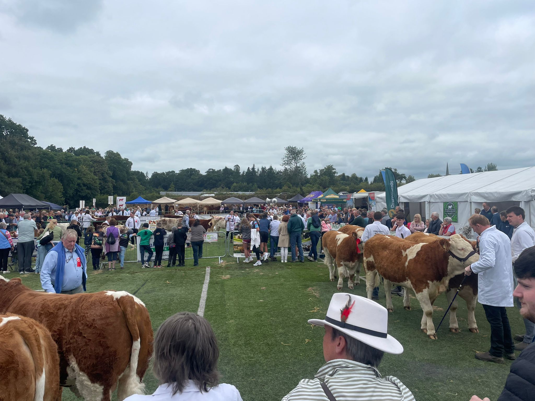 Virginia Show 2025
