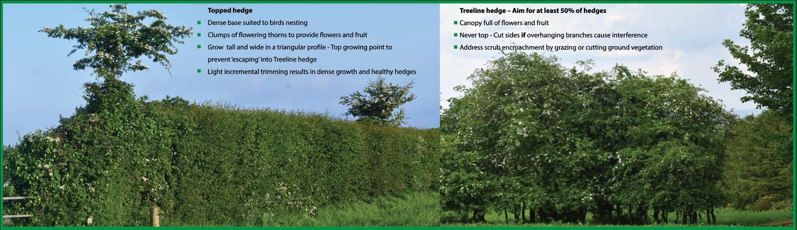 Source: Teagasc