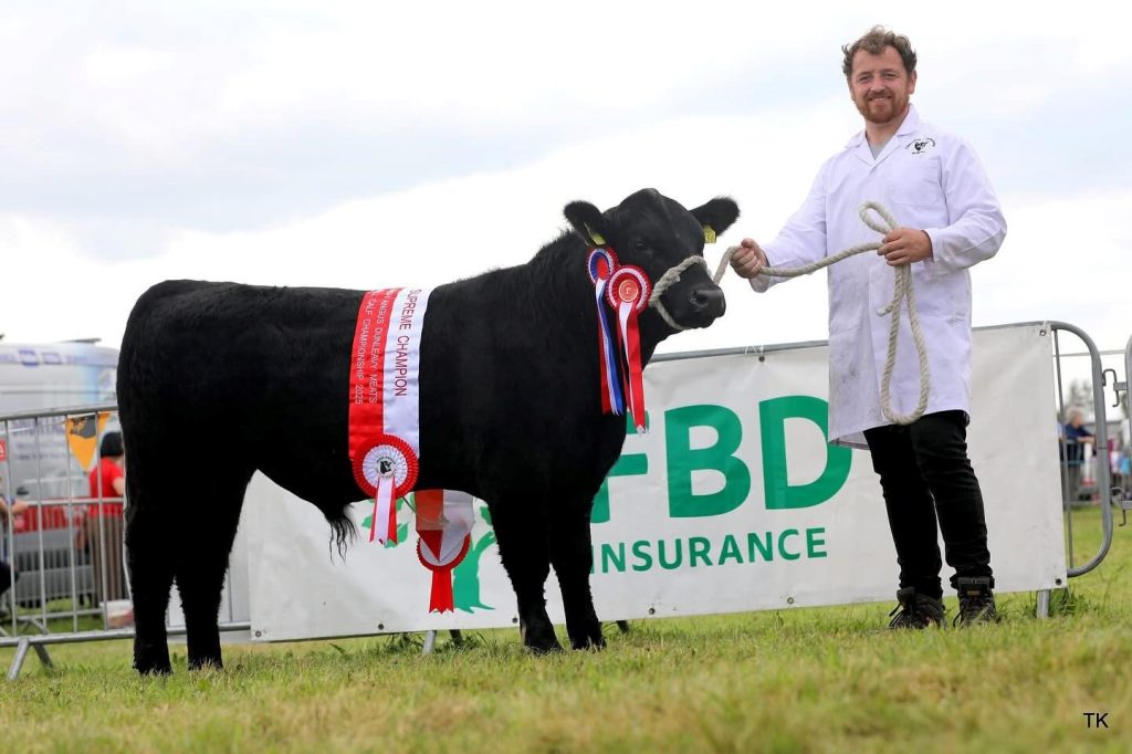 Class B Champion Clooncarne Atticus bred by Thomas Mulligan from Dromod, Co. Leitrim. Pictured: Gearoid Mulligan