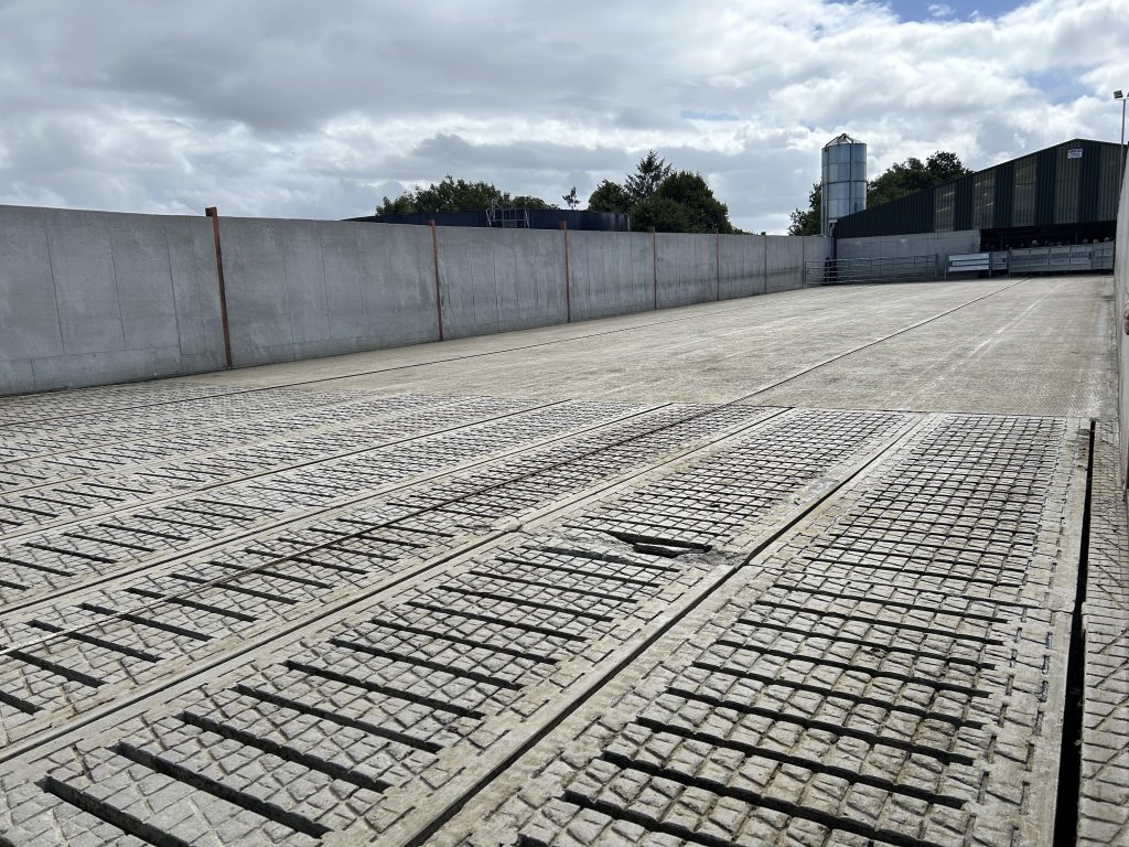 The gathering yard on the farm