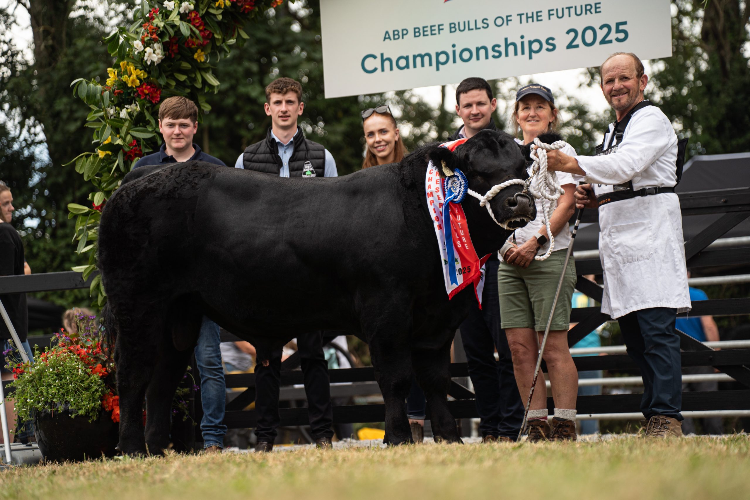 Carbery Lord Halle A550