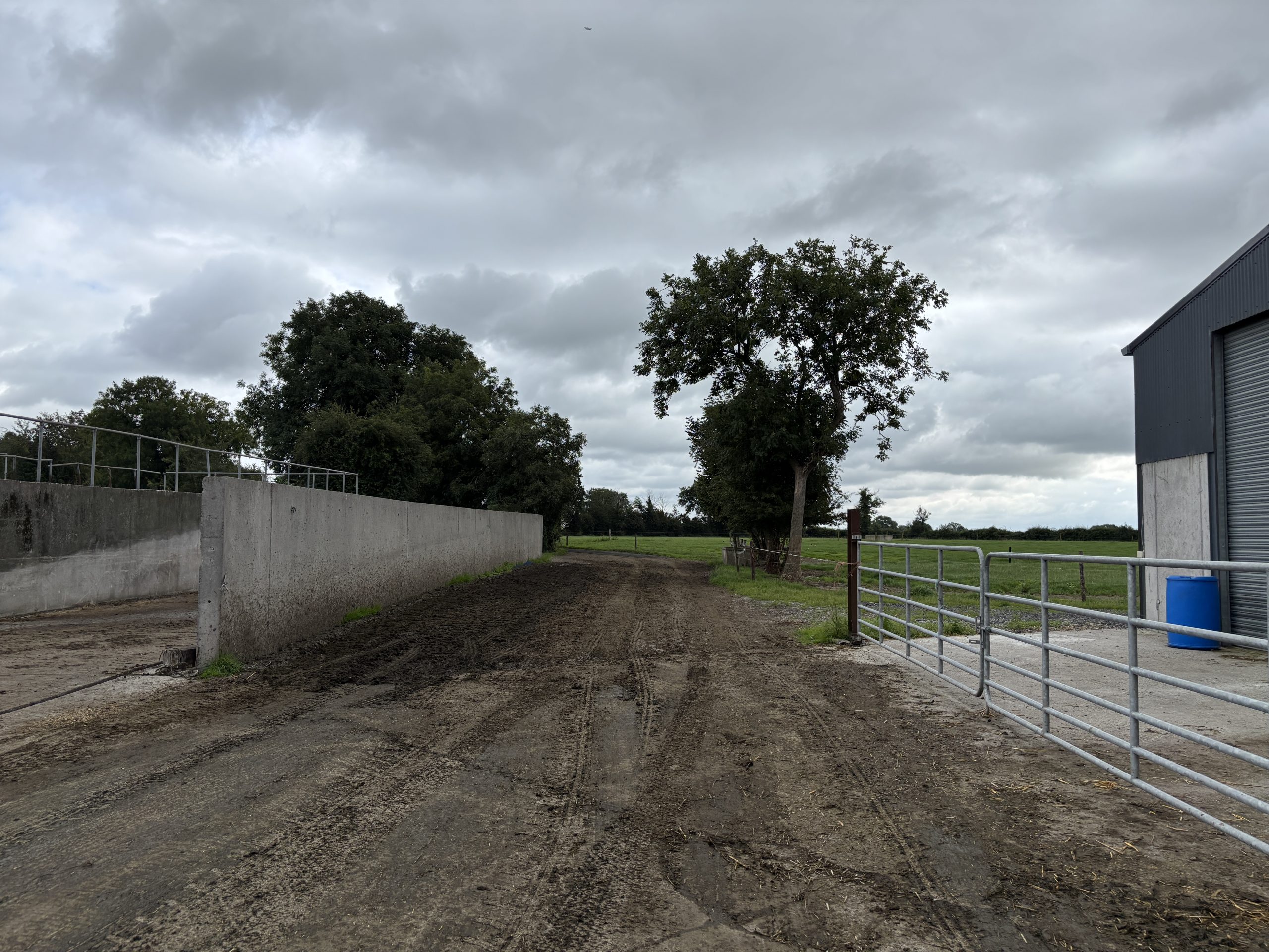 Wide passages to ensure good cow flow