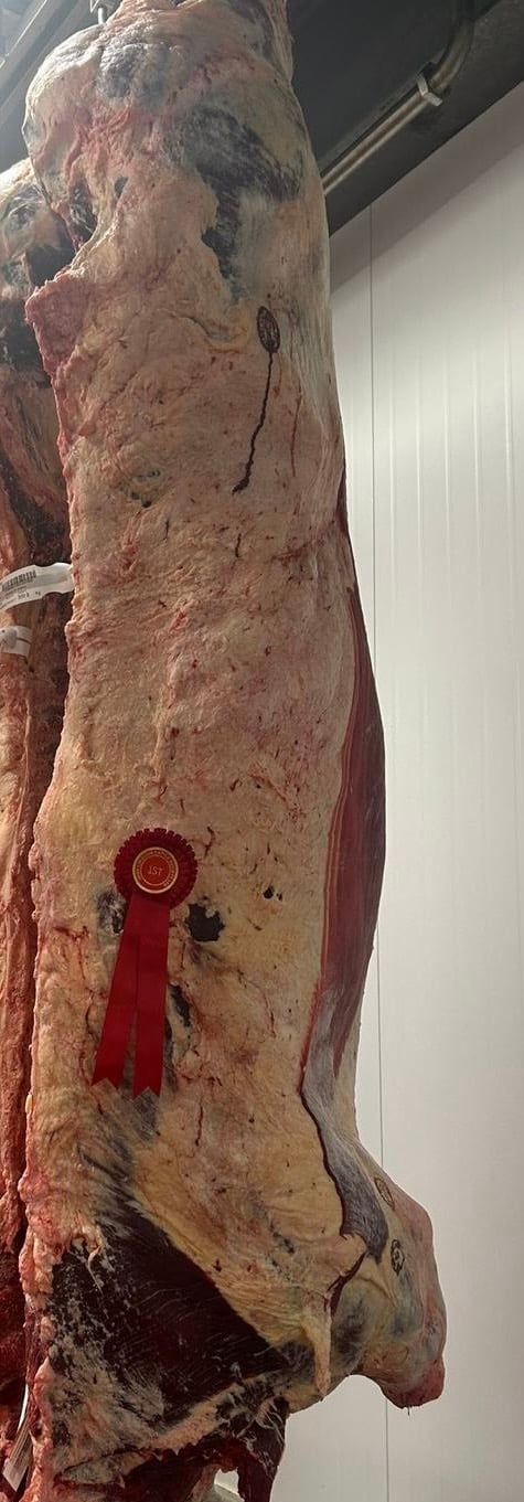 Winner of the Cow Carcass Competition 2025. Source: Ashbourne Meats