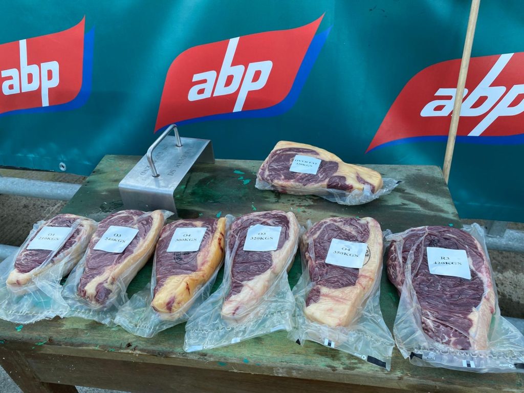 The presentation demonstrated the impact carcass grade and fat cover has on the prime cuts of beef. The steel appliance in the top left of the photo is known as 'A template' and all steaks must fit this template in order to be suitable for specific retail markets.