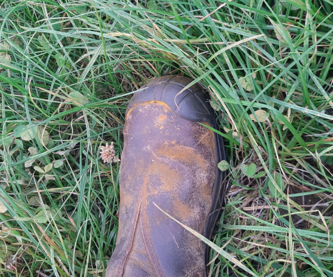 Source: Irish Farming Discussion Group Facebook
