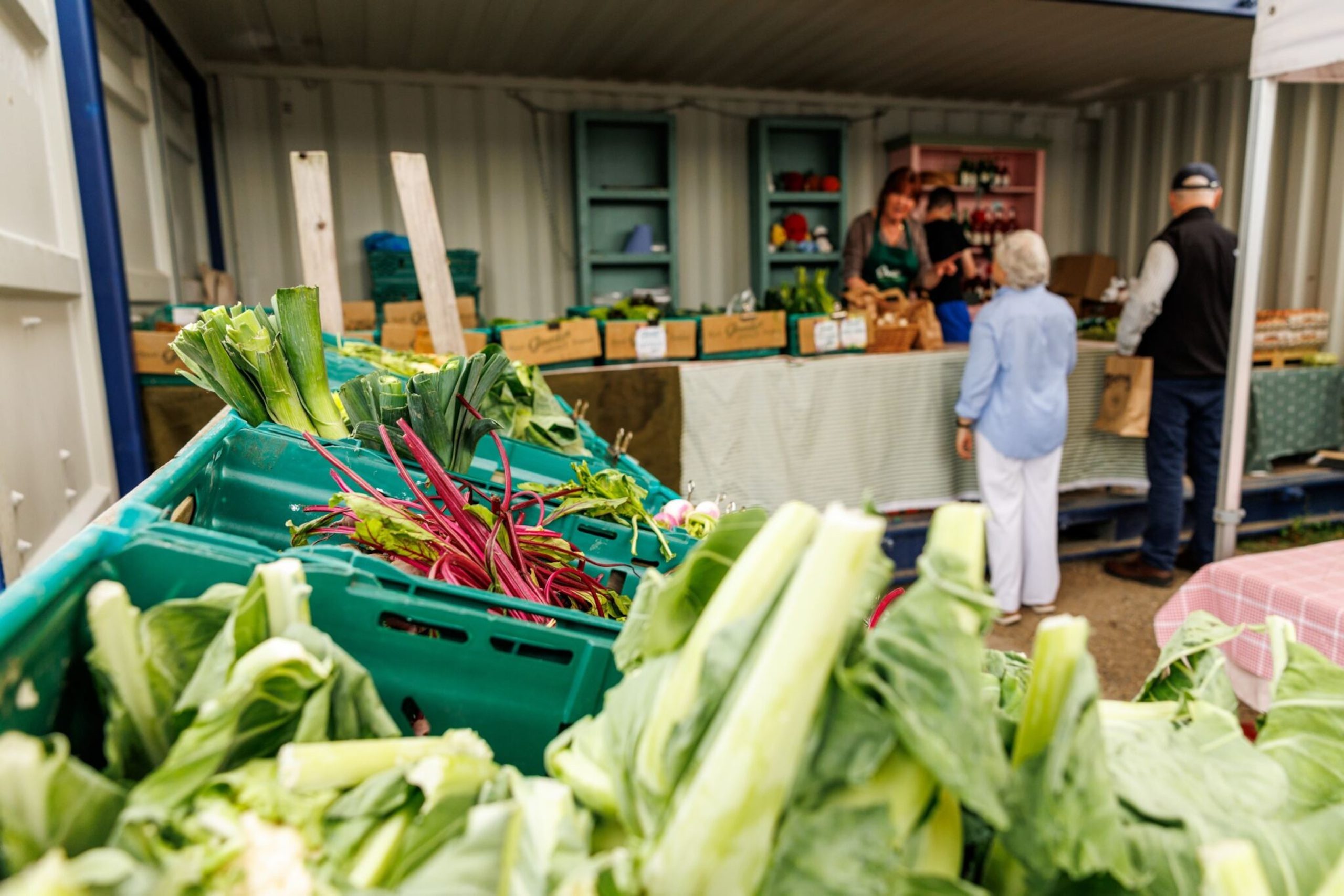Fresh vegetables on display at the Airfield estate  farmers'market at the harvest festival.