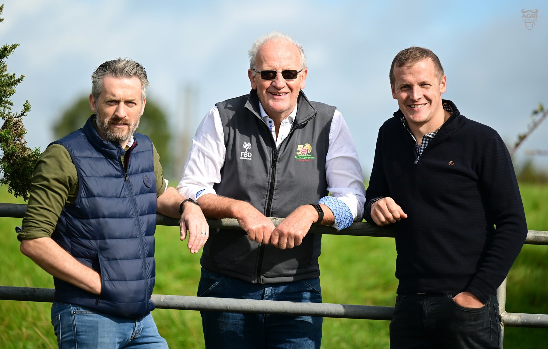 Alan, Bertie, and David Mannion