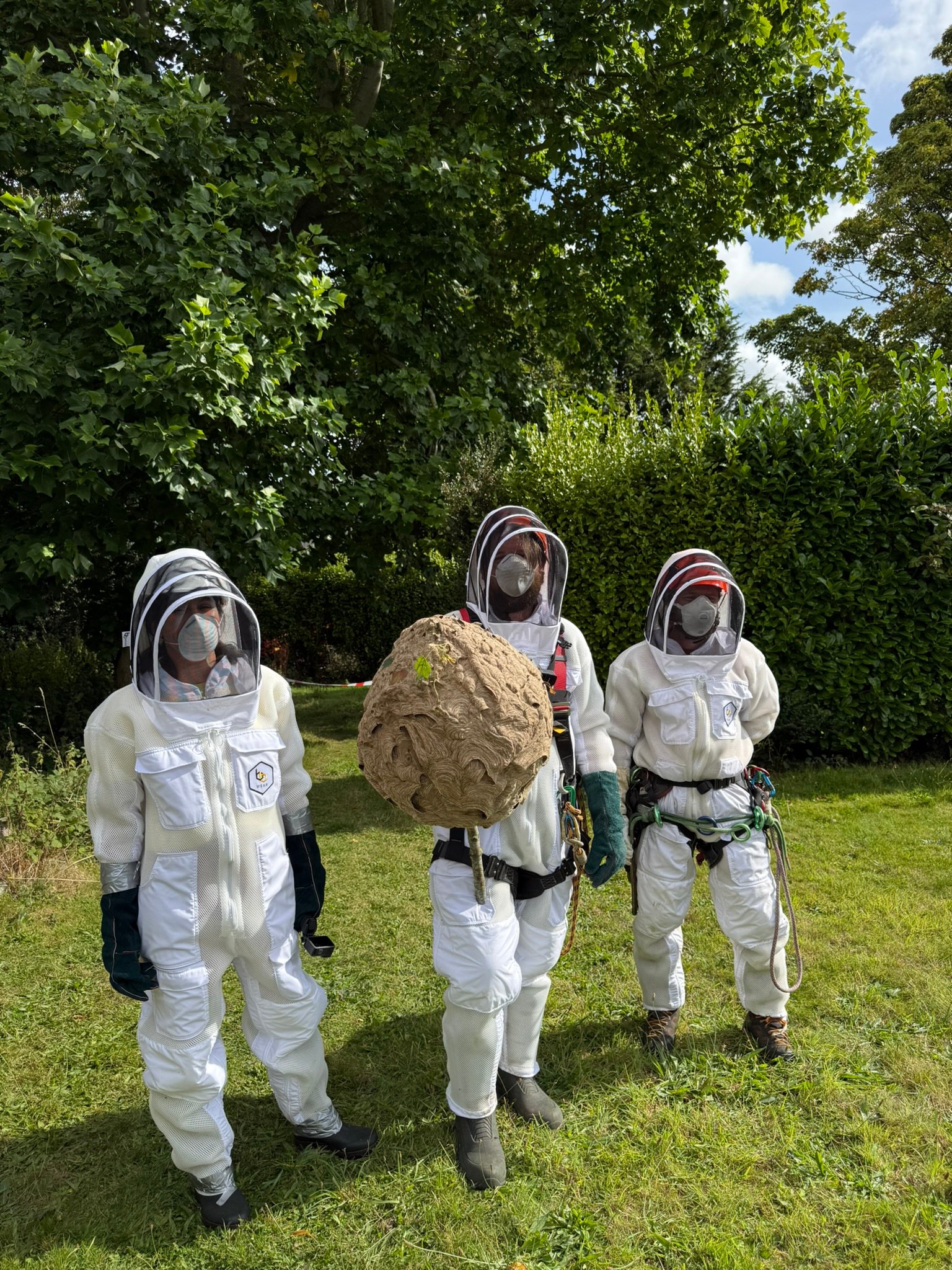 NPWS team removes first Asian Hornet Nest found in Ireland L-R Claire Deasy (NPWS), Sam Bayley (NPWS) and David Law (David Law Tree Care) (Source: NPWS)