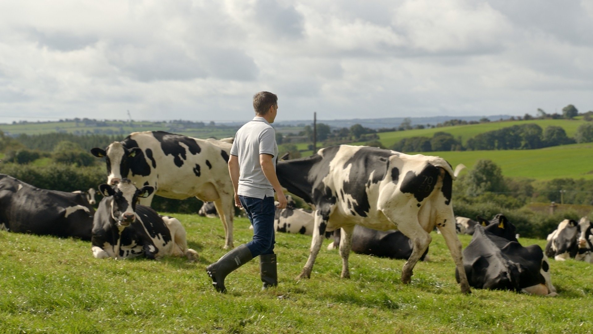Co. Cork dairy farmer Victor O’Sullivan with his Lisduff herd. Source: ICBF