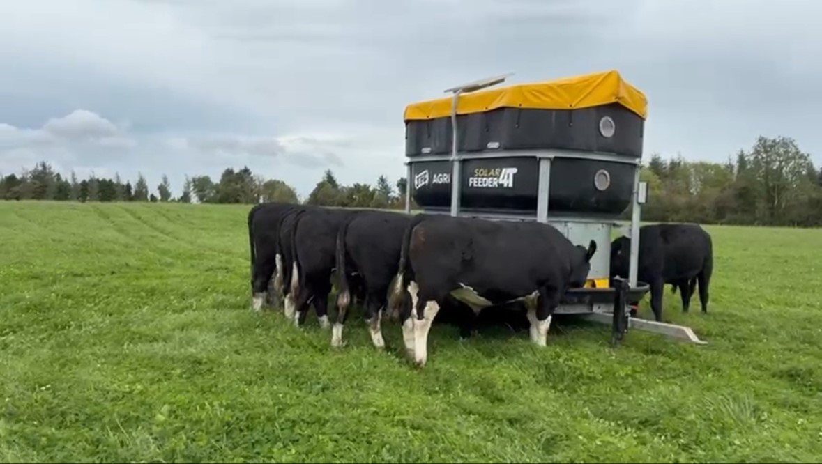 The solar-powered meal feeder in action