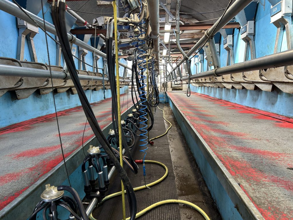 The 20-unit DeLaval parlour