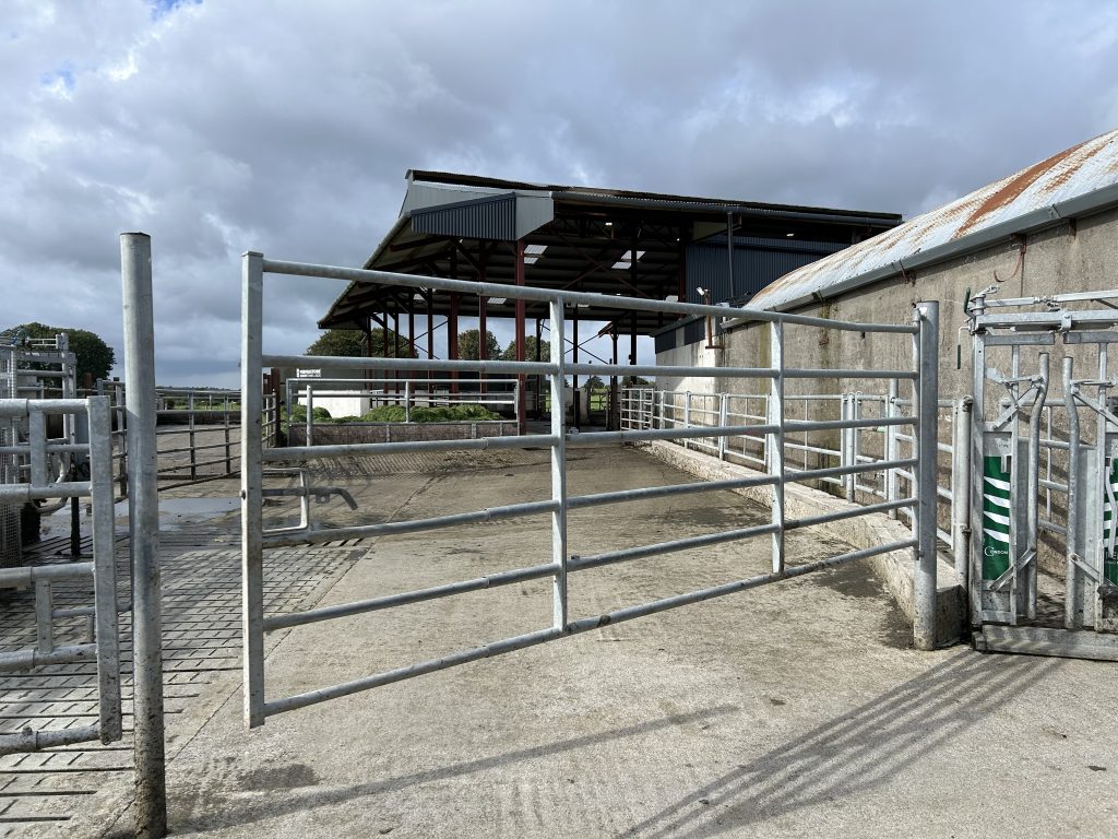 The handling facilities on the farm linked to the new cubicle shed