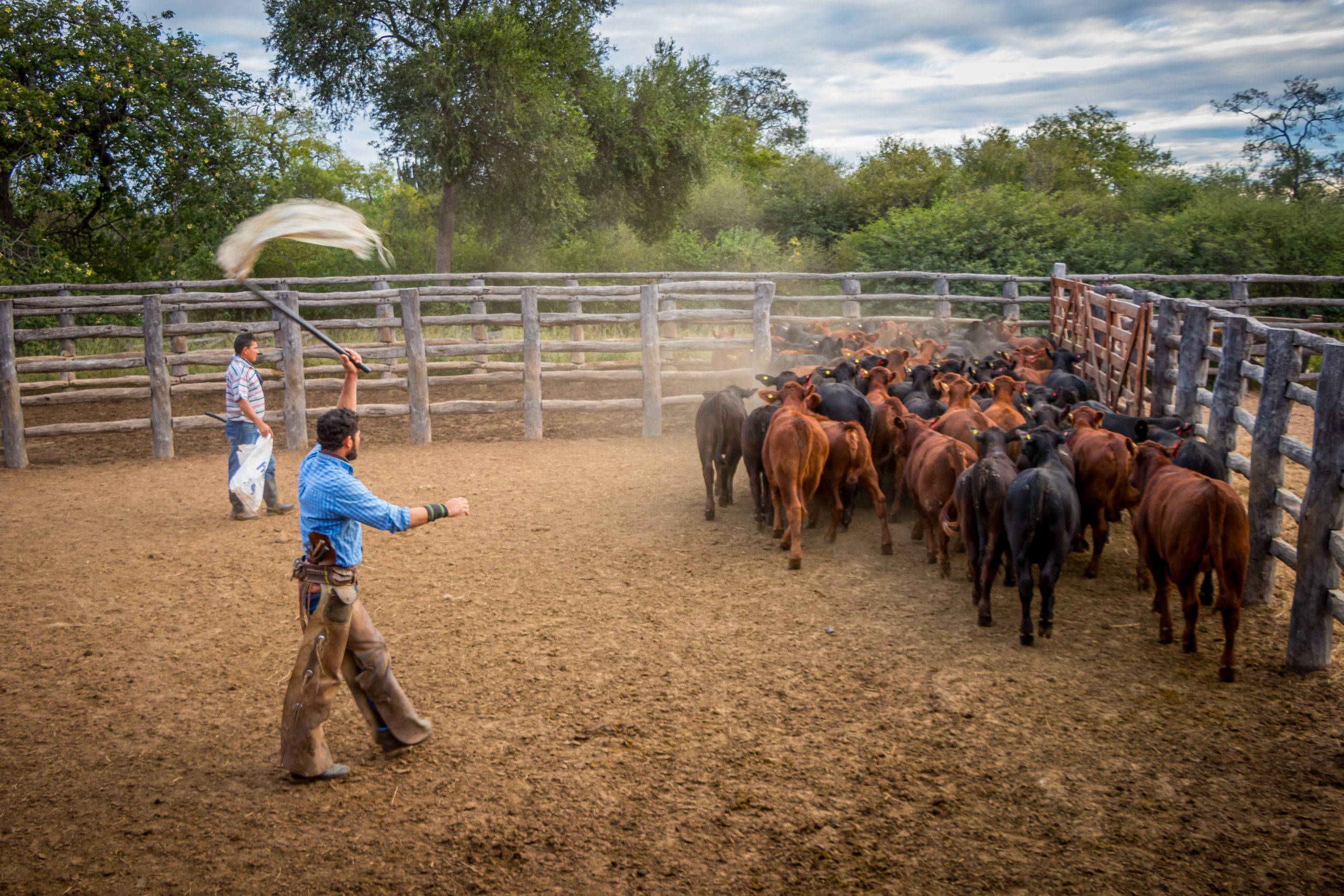 Around 80 staff members work at La Huella Farm in the various sections