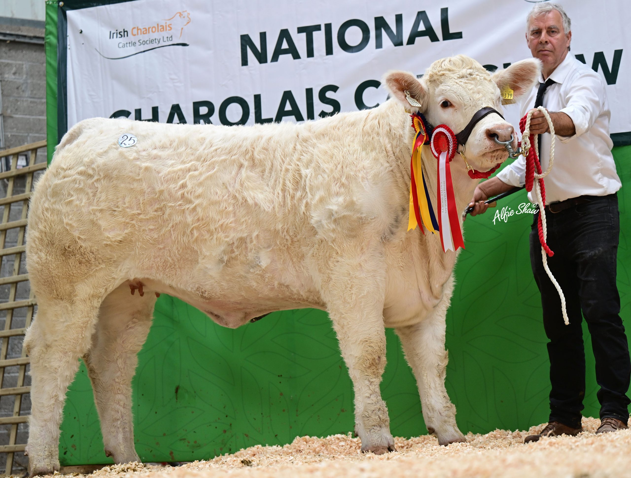 €15,500 was paid for Liscally Valerie, bred by Jon Regan from Co. Limerick. This heifer sold to the UK.