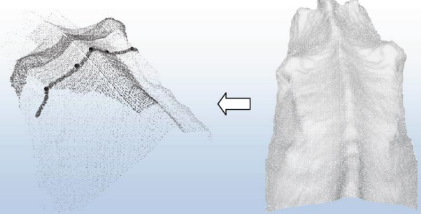 3D imaging of a cow's back. Source: Teagasc