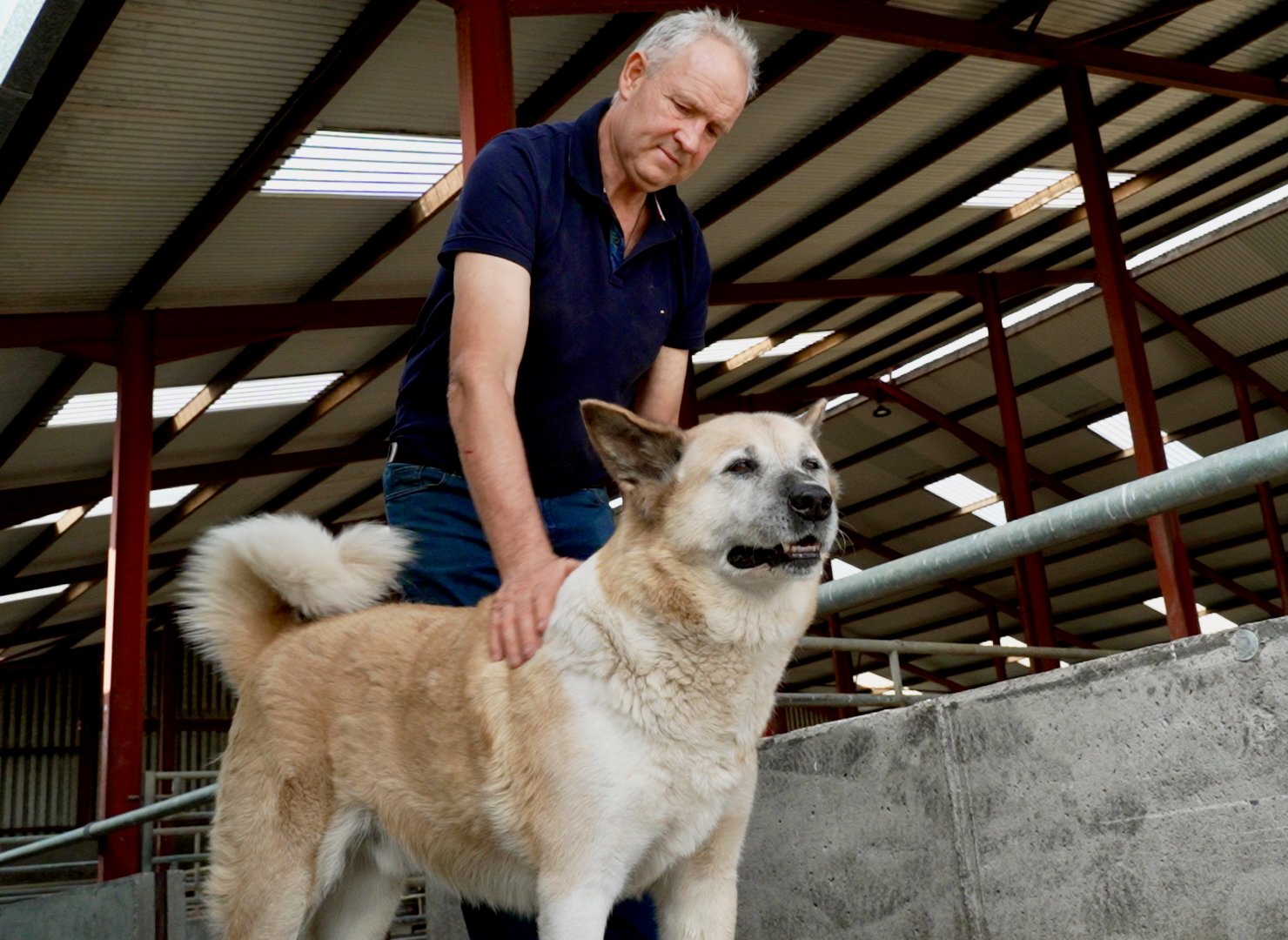 Shane Purcell with his dog