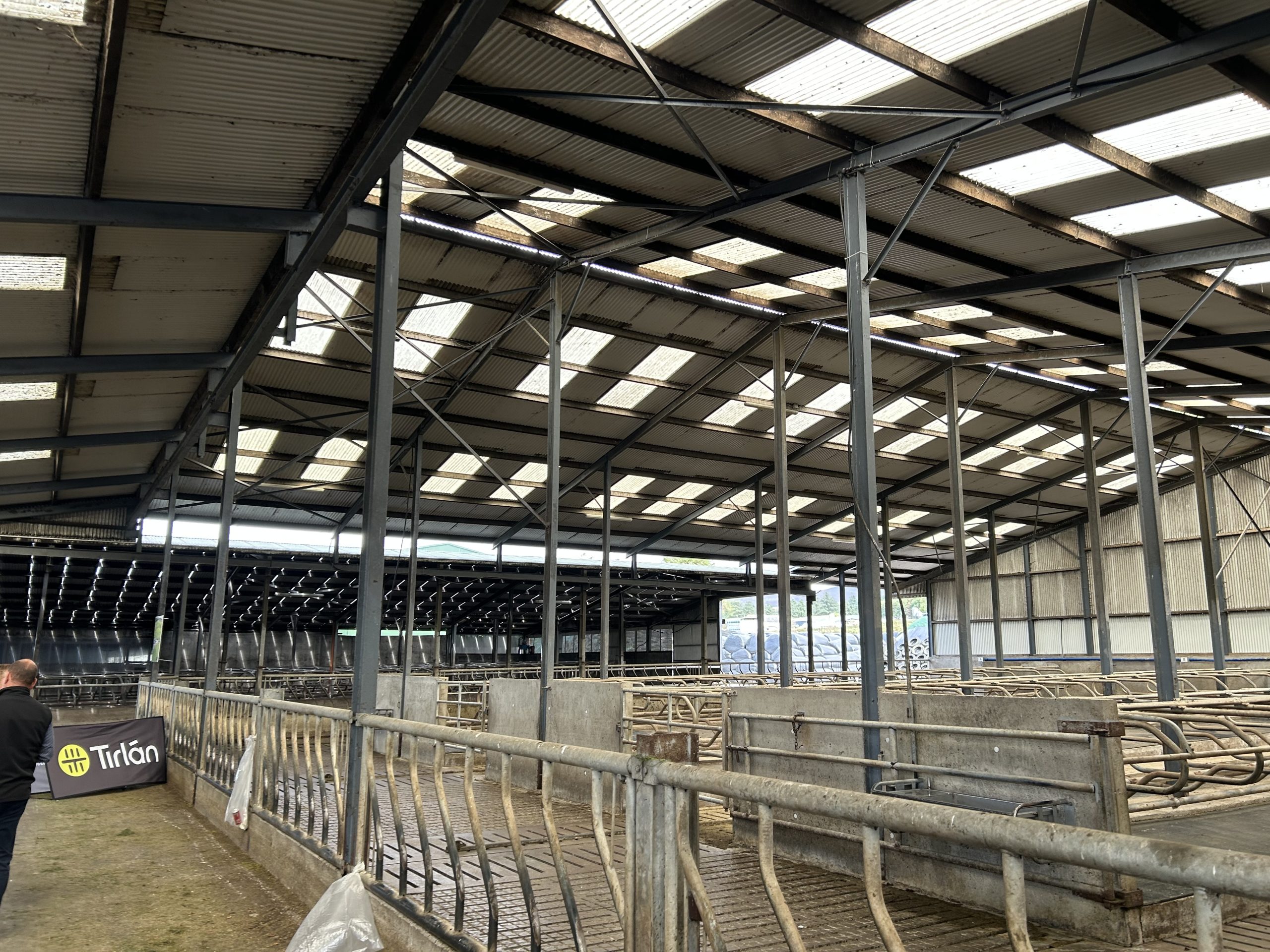 The cubicle shed on the farm