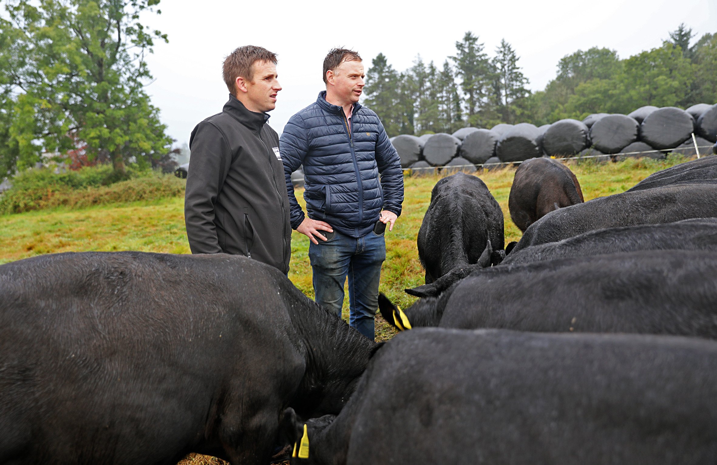 Volac Milk Replacers Ireland Ltd's Tomas O'Reilly with farmer Padraig Smith at his farm outside Killeshandra, Co. Cavan.  Source: Volac Milk Replacers Ireland Ltd