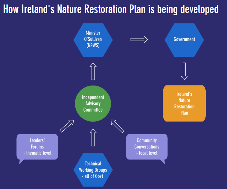 Source: www.restorenature.ie