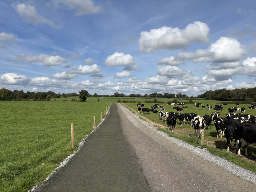 Lane ways fitted with astroturf