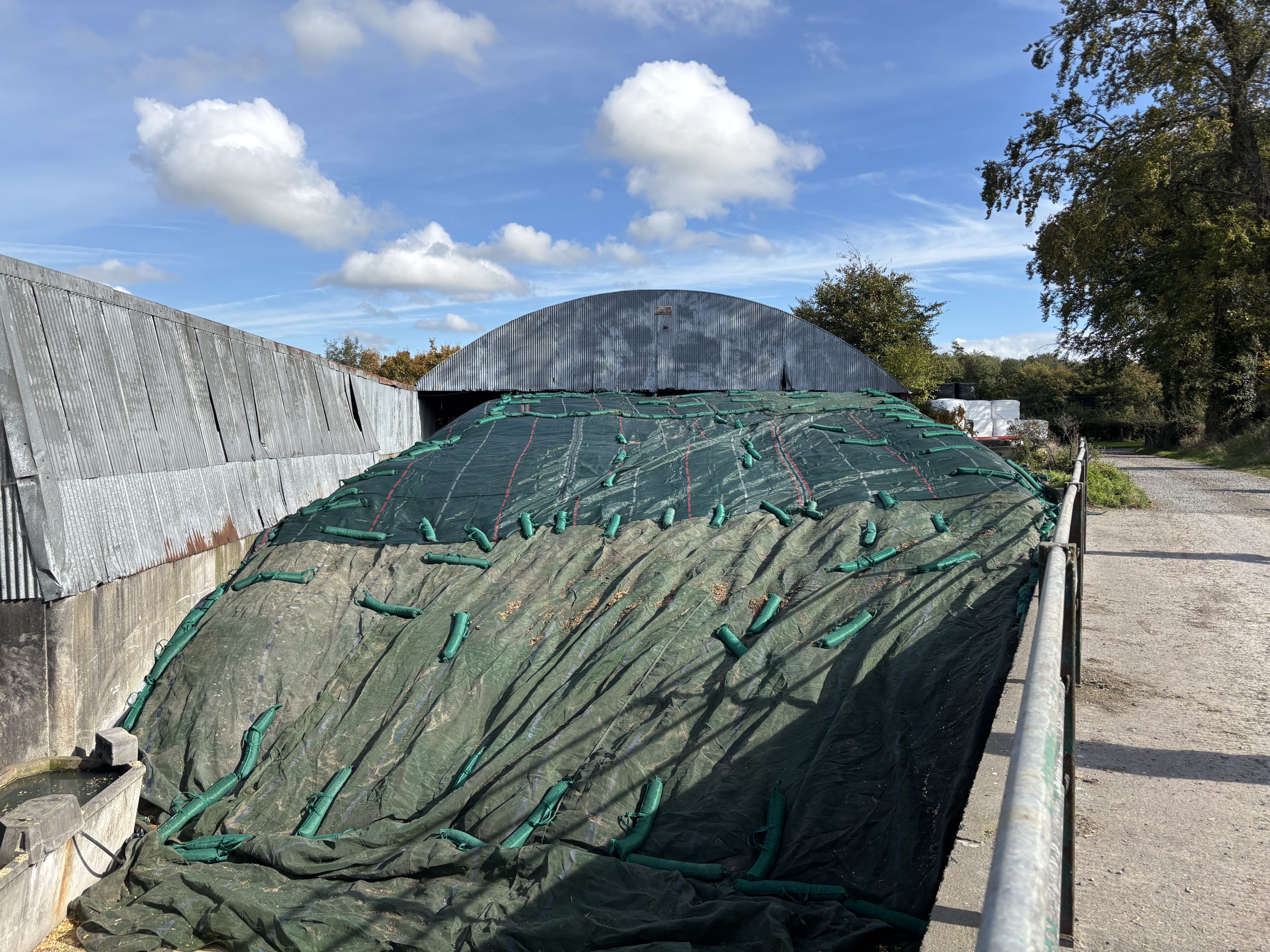 Pit of maize silage on the Eivers farm