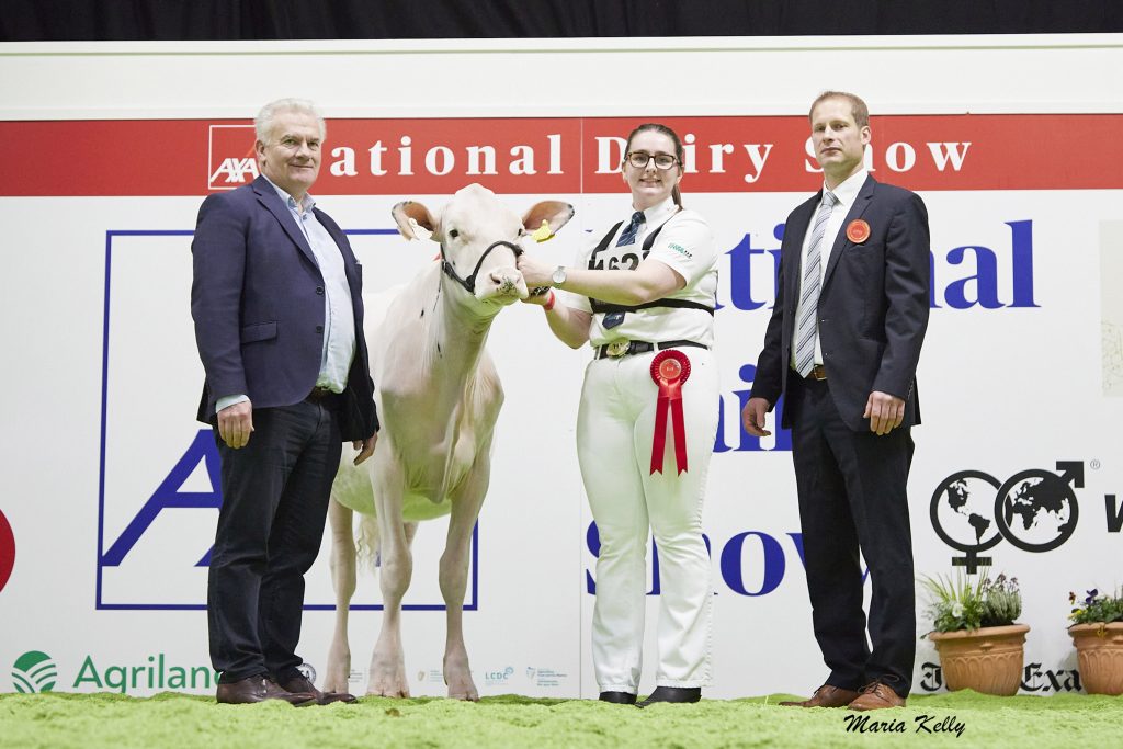 (L-R): Morgan Sheehy, Devenish (sponsor), (1st) Sprucegrove Lemagic Dellia 10 exhibited by Keypoint Holsteins, Tuam, Co. Galway, Megan Boal (handler), Cord Hormann (Judge). Source: Maria Kelly