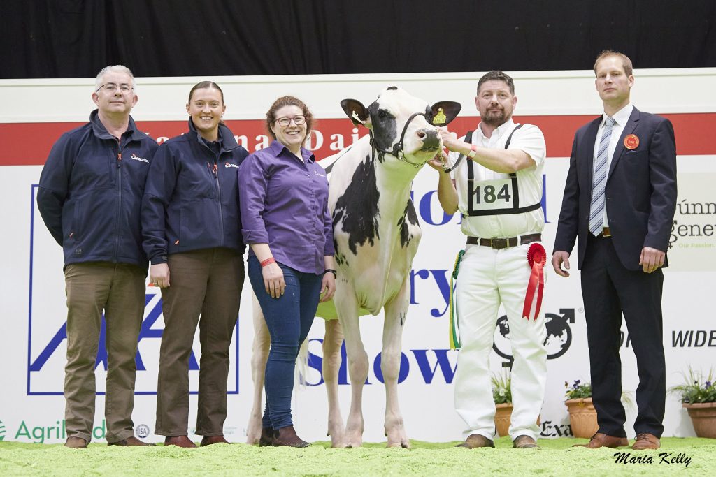 (L-R): Maria McLoughlin (exhibitor), (1st) Evergreen Chief Lustre exhibited by Steve McLoughlin, Ellistown, Co. Kildare and Liam &amp; Sandra Murphy, Fenagh, Co. Carlow, Steve McLoughlin (handler), Rachel Cooper &amp; Sean Crowley, Censortec, (sponsor). Source: Maria Kelly.