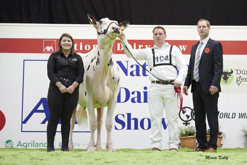 (L-R): Catriona Fenton, Lely (sponsor), (1st) Cedarmore Tory exhibited by Paul Murphy, Mallow, Co. Cork, Dermot McCarthy (handler), Cord Hormann (Judge). Source: Maria Kelly.