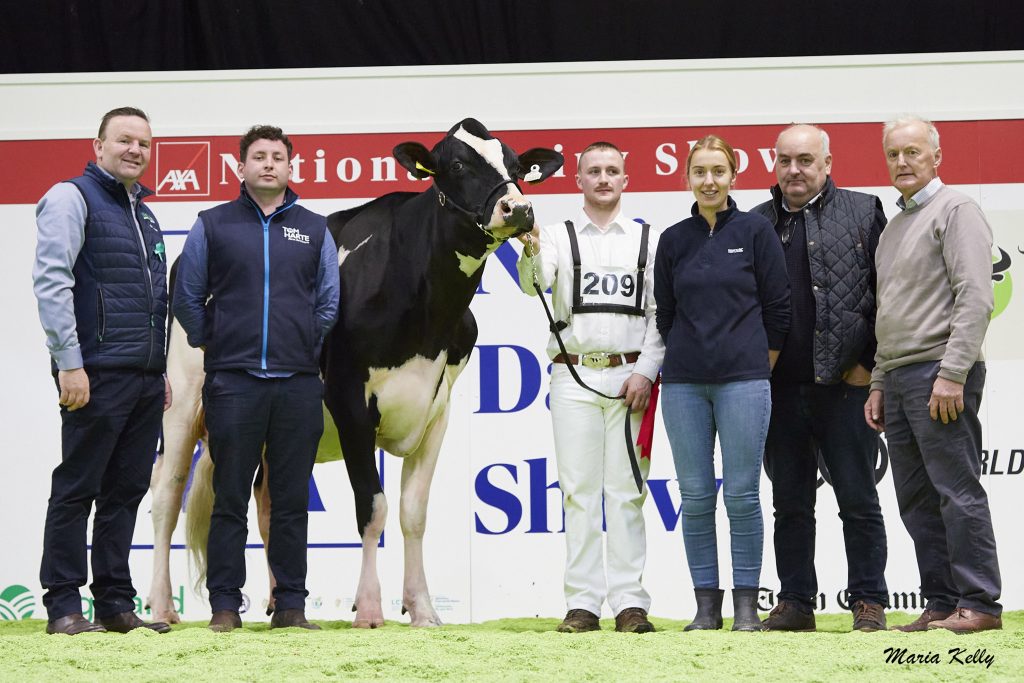 (L-R): Laurence Feeney, IHFA C.E.O. Chris Hayes, Tom Harte Farm Services (sponsor), (1st) Willsbro Lambda Galys-Vray exhibited by John O’ Connor, Kanturk, Co. Cork, Kevin Smith (handler), Clody O’ Connor, John O’ Connor (exhibitor), Bryan O’ Connor. Source: Maria Kelly.