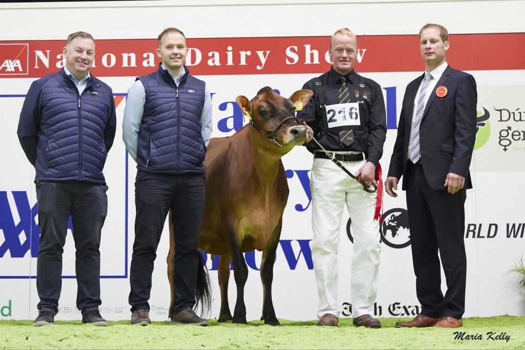 (L-R): Paul Geaney, GEA (sponsor), (1st) Potterswalls Victorious Cash exhibited by the Hynes Family, Aherla, Co. Cork, Peter Hynes (on halter), Jack O’ Brien, GEA (sponsor) Source: Maria Kelly.