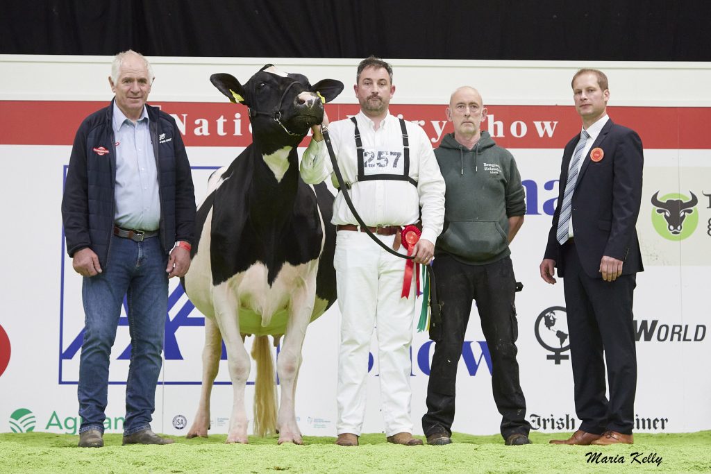 (L-R): Billy Deane, World Wide Sires (sponsor), (1st) Evergreen Susie Mist 26 RC exhibited by Liam &amp; Sandra Murphy, Fenagh, Co. Carlow, Damien Storan (on halter), Liam Murphy (exhibitor), Cord Hormann, (Judge). Source: Maria Kelly.