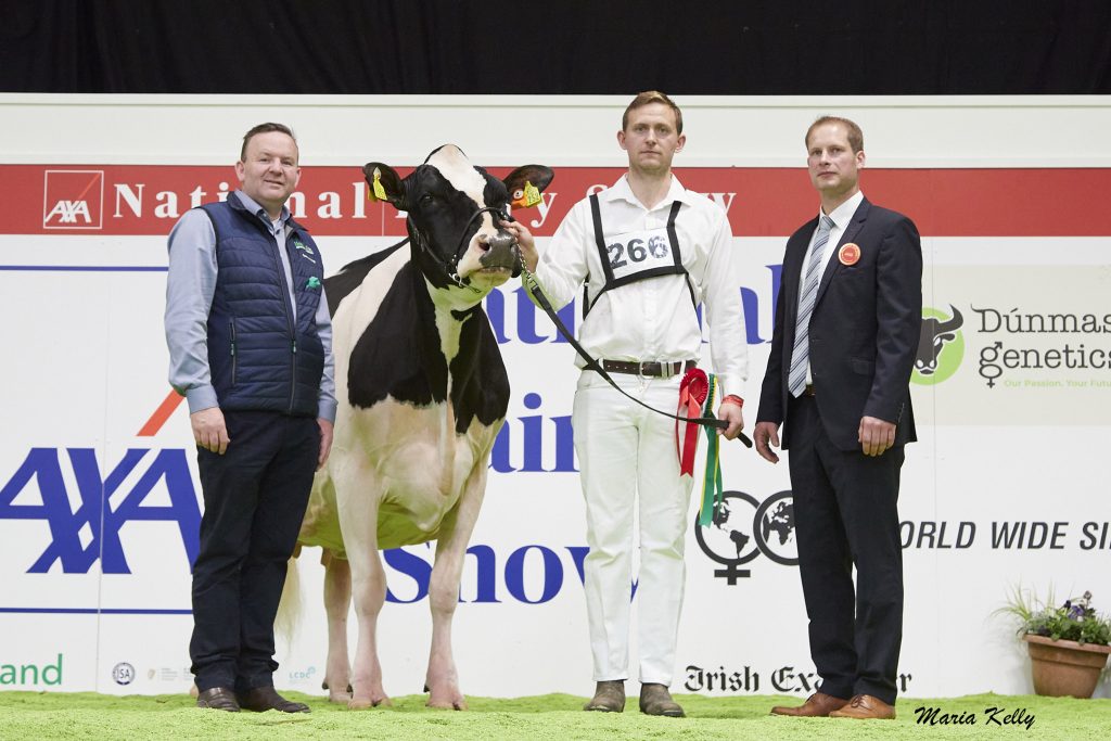 (L-R): Laurence Feeney, IHFA (sponsor), (1st) Eedy Damion Acclaim exhibited by J &amp; L Helen and R &amp; S Helen, Clonakilty, Co. Cork, Jason Helen (on halter), Cord Hormann (Judge). Source: Maria Kelly.