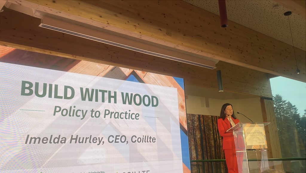 Coillte CEO Imelda Hurley speaking at today's conference