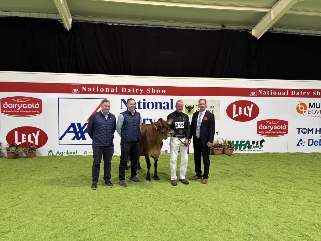 (L-R). Jack O'Brien; Paul Geaney; Peter Hynes; Cord Hormann.