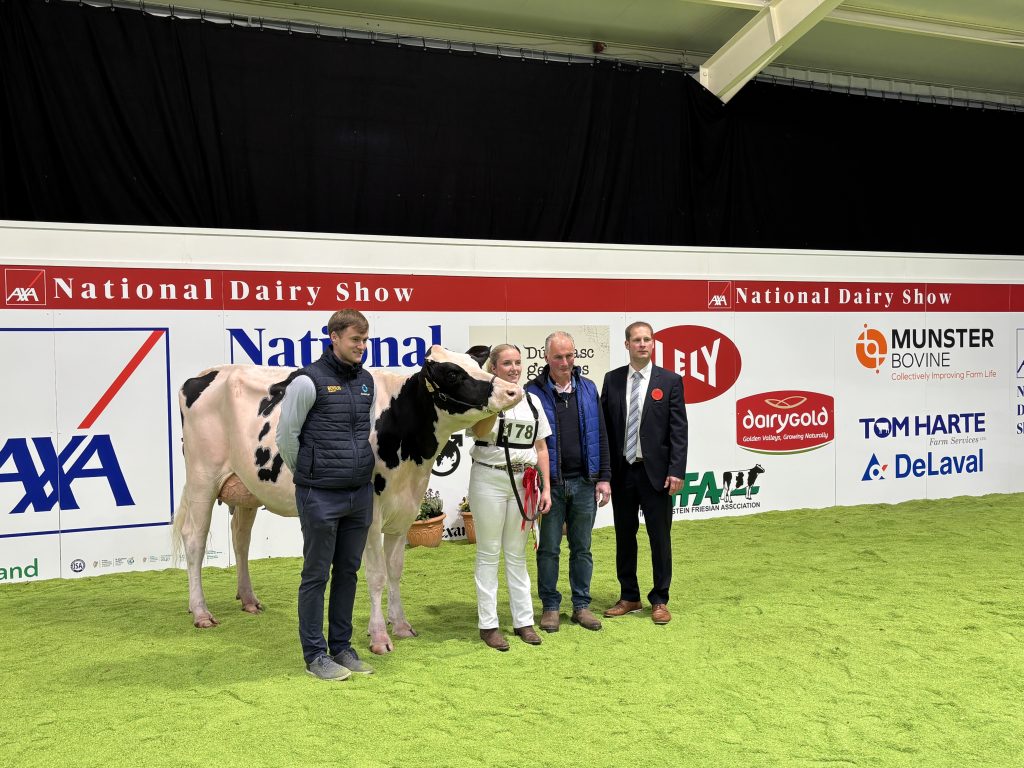 (L-R). Donal Murphy; Stacey O'Sullivan; David O'Sullivan; Cord Hormann.