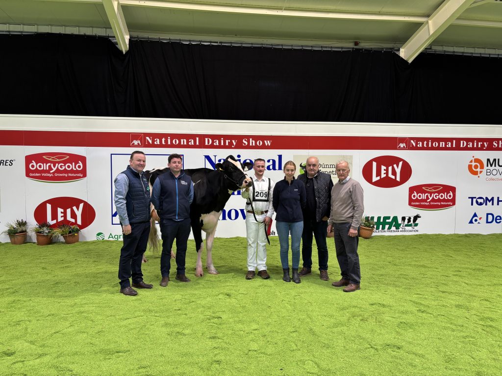 (L-R). Laurence Feeney; Chris Hayes; Kevin Smith; Clody O'Connor; John O'Connor; Brian O'Connor.