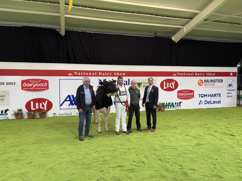 (L-R): Billy Deane, Damian Storan, Liam Murphy and Cord Hormann