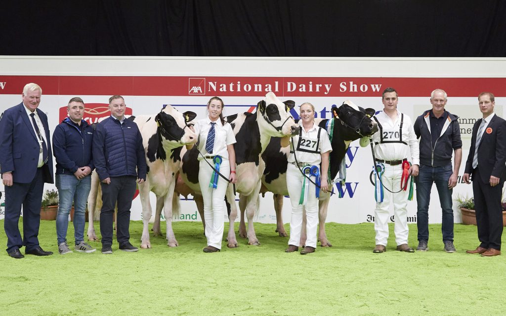 (L-R): John Kirby, Cork Club President, Adrian Murphy, GEA (sponsor), Jack O’ Brien, GEA (sponsor), Honourable Mention Knockbrown Davinci Ivory exhibited by the O’ Sullivan family, Bandon, Co. Cork, Kayla Mulcahy (on halter), Reserve Champion Mohoncross Pet 63 exhibited by Jerry Hegarty, Skibereen, Co. Cork, Stacey O’ Sullivan (on halter), Champion Ballytigue Mogul Rager Penny exhibited by Aidan &amp; Sally Ann Frawley, Bruree, Co. Limerick, Brendan Greenan (on halter), Aidan Frawley, Cord Hormann (Judge). Source: Maria Kelly.