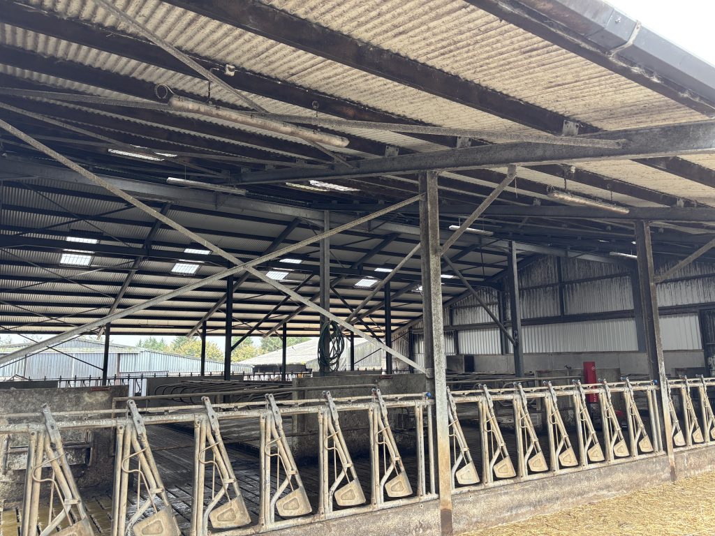 Cubicle shed on Goggin's farm