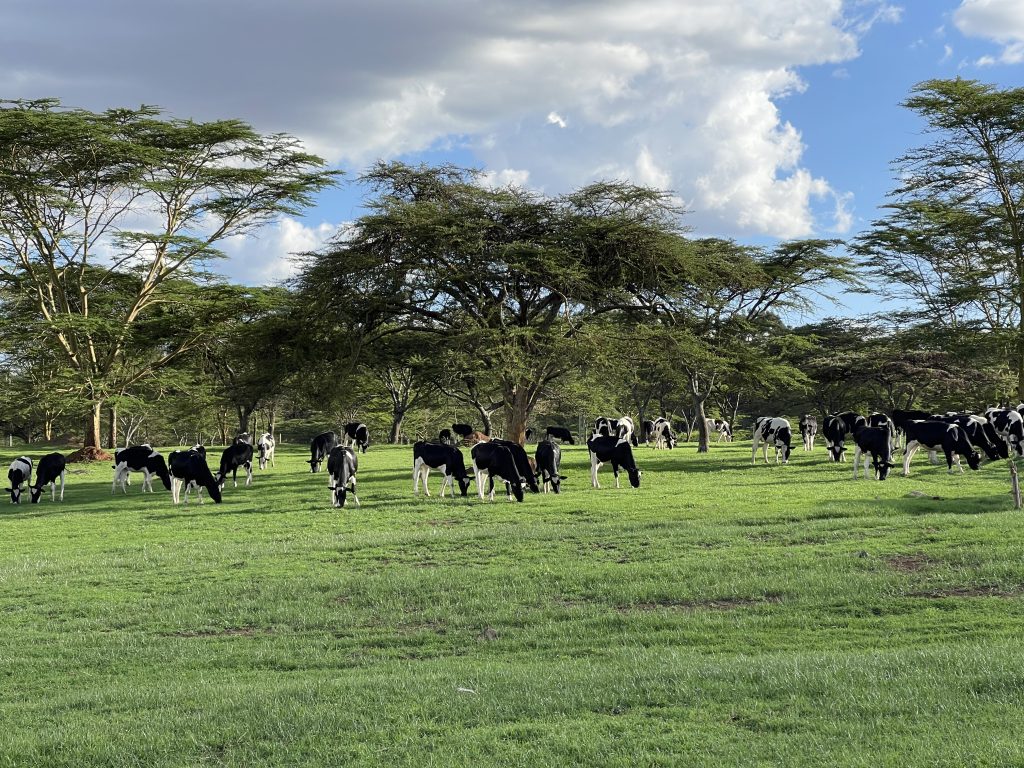 Gogar Farms