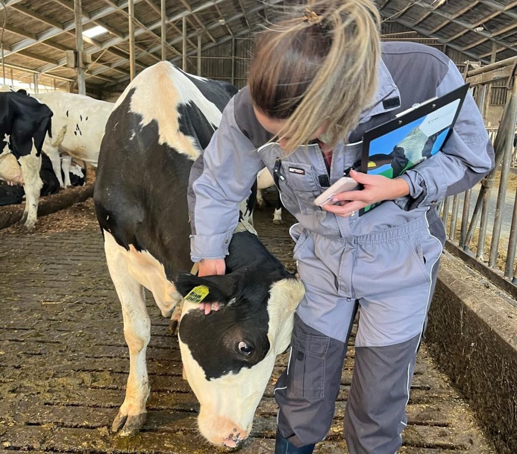 Source: Hazell Mullins