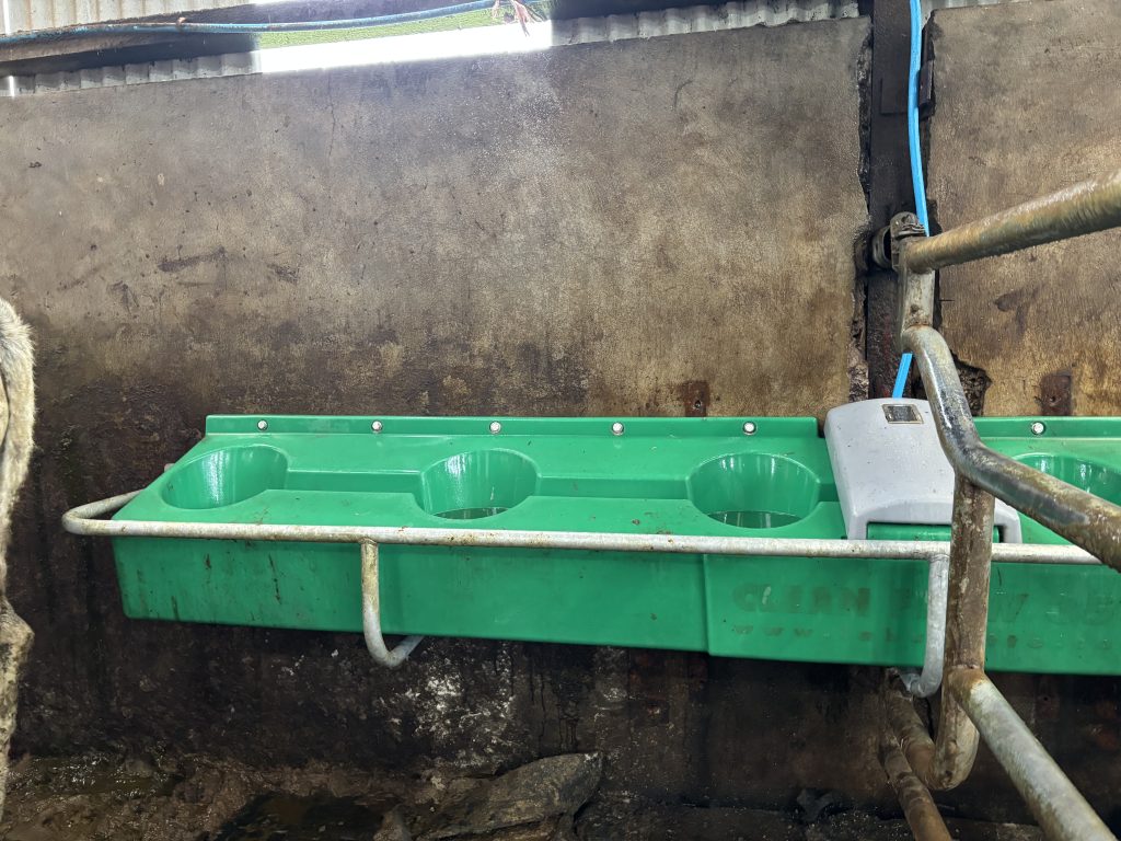 New drinker installed which swirls water reducing feed waste and helping to keep water clean and fresh in pens