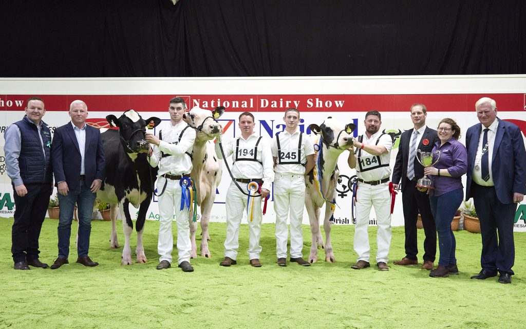 (L-R): Laurence Feeney, IHFA C.E.O. Thomas Murphy, McDonnell Bros. (sponsor), Honourable Mention Robinview Parfect Pledge 363 exhibited by Michael McGrath, Cloyne, Co. Cork, Conor Lehane (at halter), Reserve Champion Cedarmore Tory exhibited by John O’ Connor, Kanturk, Co. Cork, Dermot McCarthy (at halter), Manus Murphy joined exhibitor of Champion Evergreen Chief Lustre, Steve McLoughlin (on halter), joined exhibitor, Cord Hormann (Judge), Maria McLoughlin, joined exhibitor, John Kirby, Cork Club President. Source: Maria Kelly
