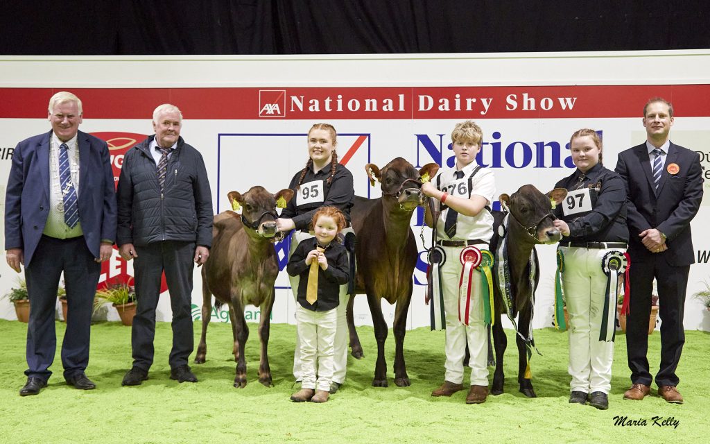 10/10/25 AXA National Dairy Show 2025, Jersey Junior Championship, Pictured are: John Kirby, Cork Club President, Tim O’ Connell, Jersey Cattle Society (sponsor), Honourable Mention Clandeboye Evita Roulette exhibited by Edwin Gaynor, Aoife Prunty (handler), Sophie Gaynor, Reserve Champion Ballyelan Victor Daisy 4361 exhibited by Tom Lynch, Cathal McLoughney (handler), Champion Rathard Choco Kalani exhibited by the Hynes Family, Aherla Co. Cork, Georgina Hynes (handler) Cord Hormann, Judge. Photo: Maria Kelly.